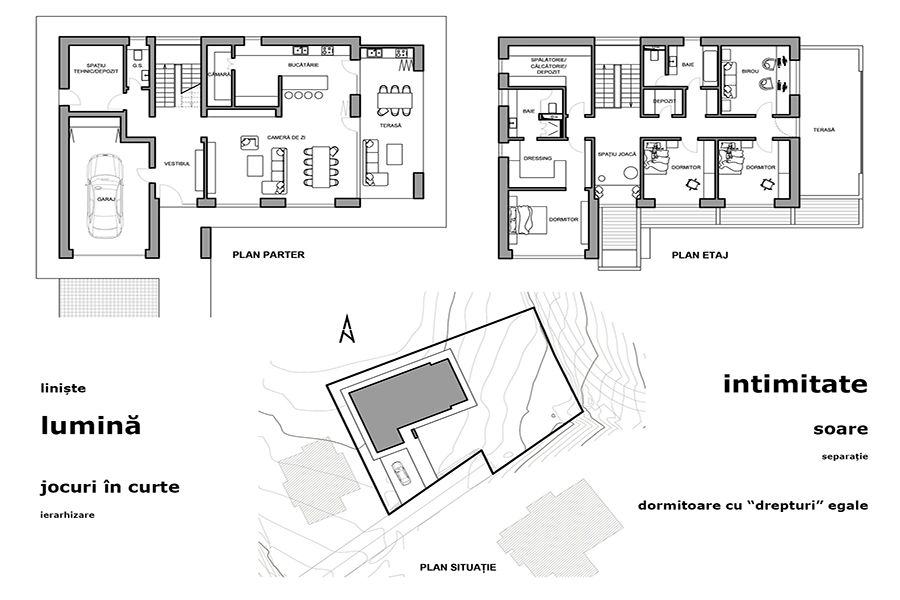 Casa cu ochii în soare - Imagine 4