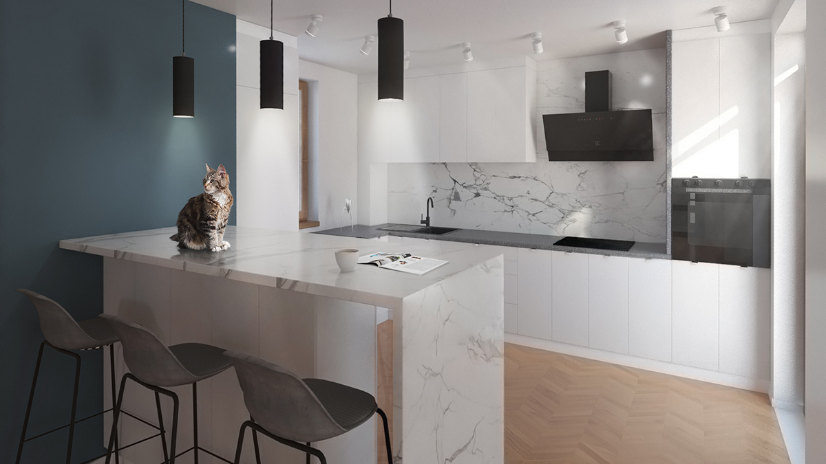 Casa cu pisici - Imagine 4