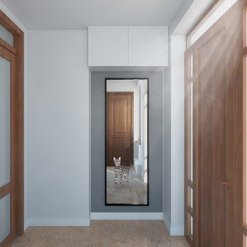 Casa cu pisici - Imagine 9