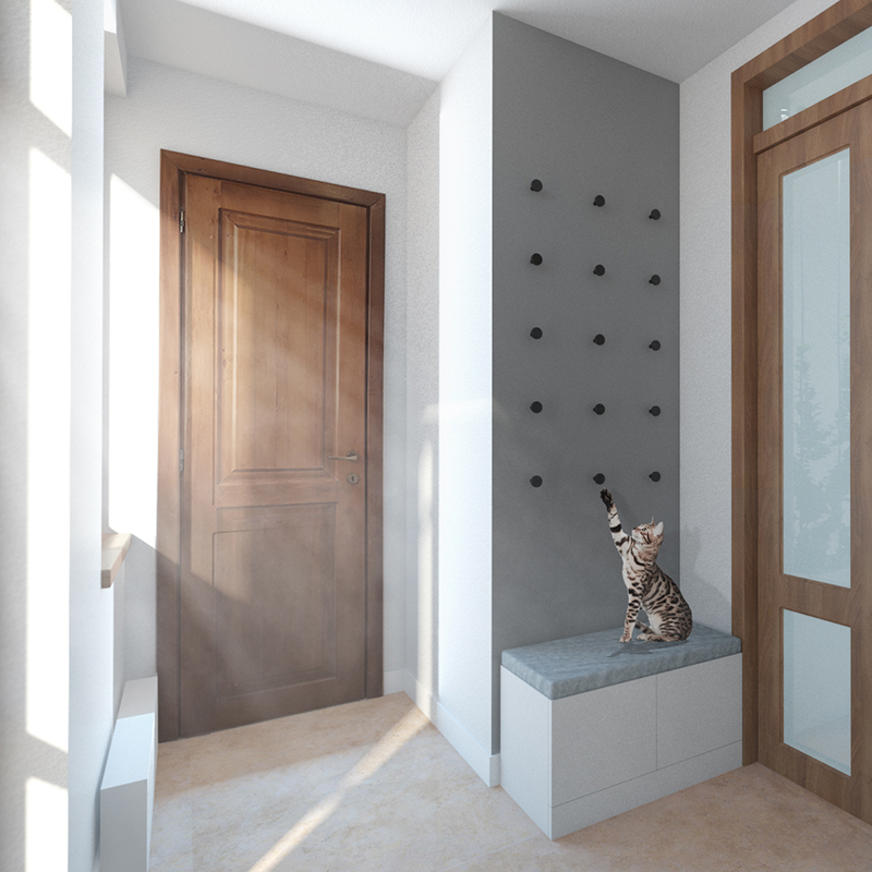 Casa cu pisici - Imagine 10