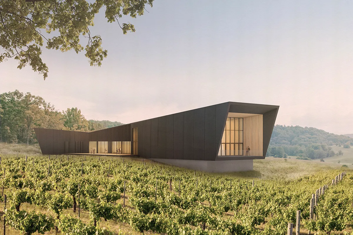 Casa cu vin - Imagine 1