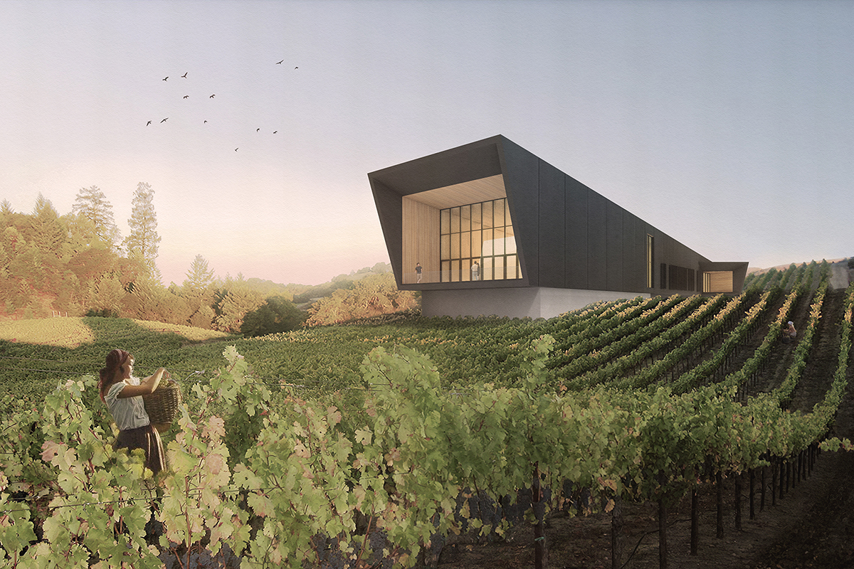 Casa cu vin - Imagine 2