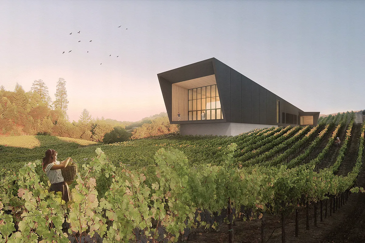 Casa cu vin - Imagine 2