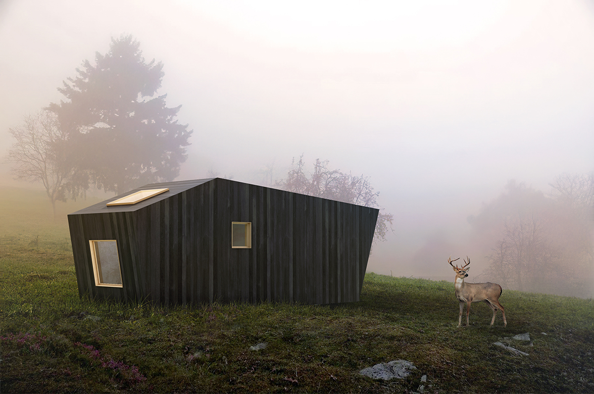 Cochilia - Imagine 6