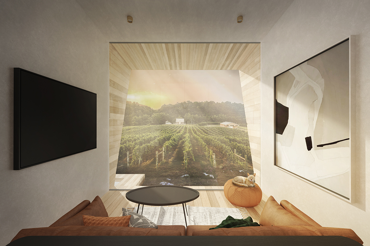 Cochilia - Imagine 8