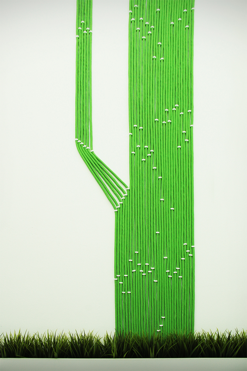 Salon Natura - Imagine 1